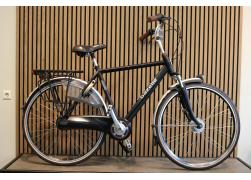 Gazelle Orange Plus H53